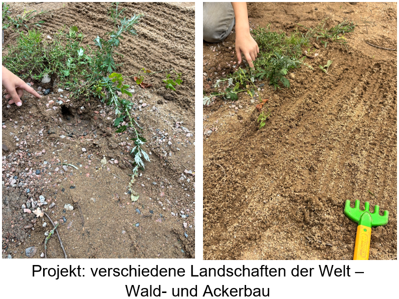 Weltlandschaften